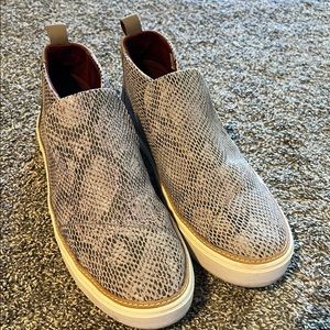 Toms snake skin tennis shoes. Worn once, like new.